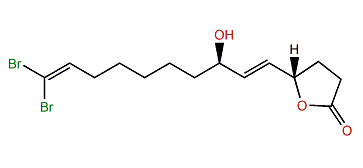 Xestospongiene C